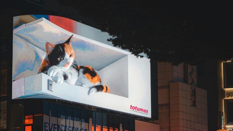 Totumax® LED Display, LED Billboard in a Retail Environment